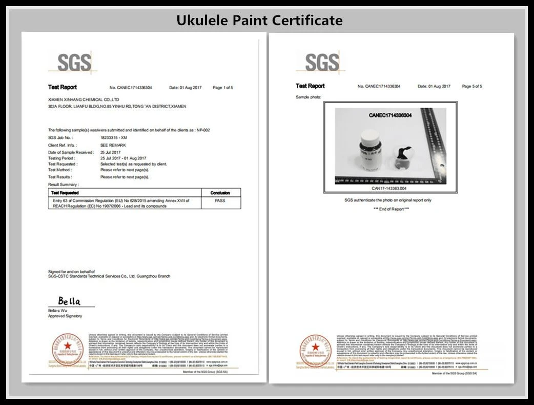 Ukulele paint certificate