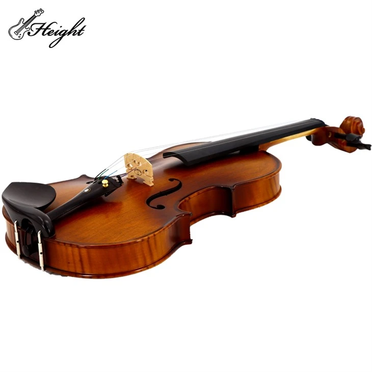 Violin Spruce Top Maple Back & Sides